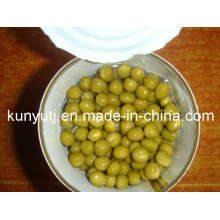 Green Peas in Can with High Quality